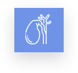 Gallbladder removal (Cholecystectomy) Vienna, Europe, thyroid surgery Vienna, Andreas Selberherr surgeon Evangelisches Krankenhaus Vienna, Services Selberherr